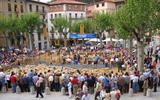 Festa de la Llana, 2005. Imatge cedida pel CIT Ripoll