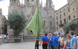Bandera Verda de Sant Roc, 2016.