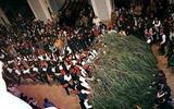 Els galejadors entren el pi a força de braços fins a sota de l’altar - Festa del Pi 1999