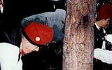 Galejadors tallant el pi al bosc - Festa del Pi 1996