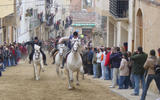 Corrida de cavalls als Clots. Carrer dels Clots d'Ascó. 17/1/05. Foto: Biel Pubill.