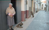Els veïns deixen la llenya al carrer. Carrer Pedrola d'Ascó. 15/1/04. Foto: Biel Pubill.